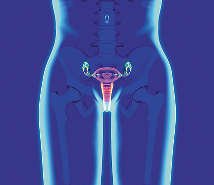 The lowdown on vaginal TLC featured image