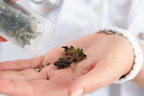 Cardiovascular risks soar among daily cannabis users featured image