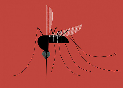 Dengue fever: What to know and do featured image